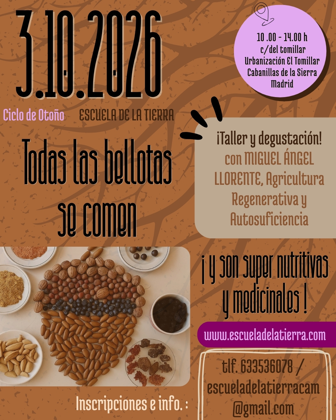 bellota